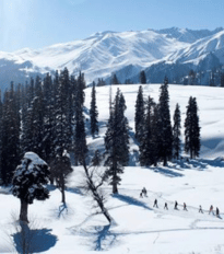 Gulmarg