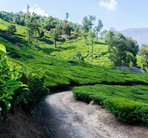 Munnar