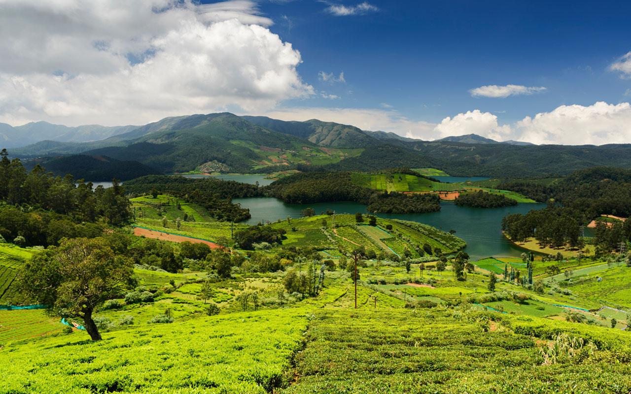 ooty tourist places park